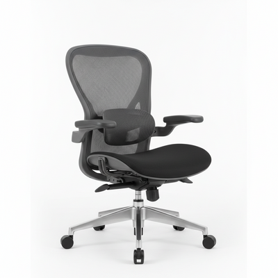 Ergonomic Office Chairs